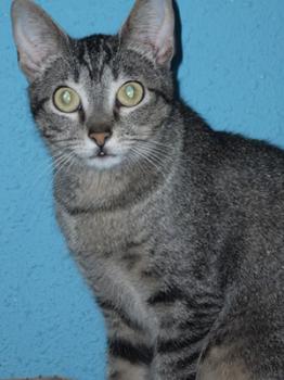 Bild von Samantha
