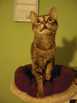 Bild von Samantha