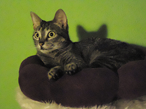Bild von Samantha