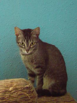 Bild von Samantha