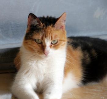 Sundra Bild von Sundra