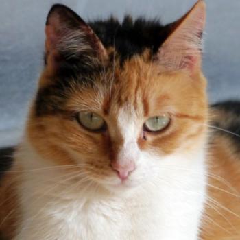 Sundra Bild von Sundra