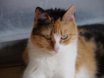 Sundra Bild von Sundra