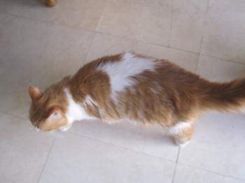 Pan Bendito Bild von Pan Bendito