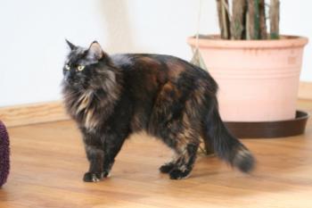 Belinda Bild von Belinda