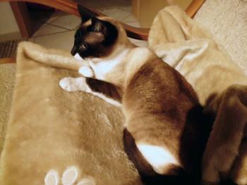 Princesita Bild von Princesita