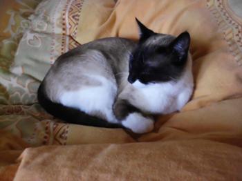 Princesita Bild von Princesita