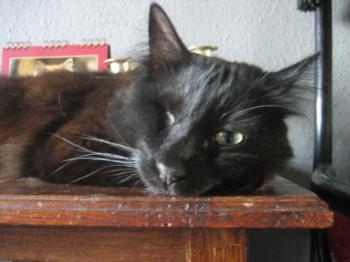Charly Bild von Charly