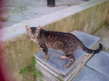 Bild von Trass