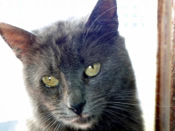 Willy Bild von Willy