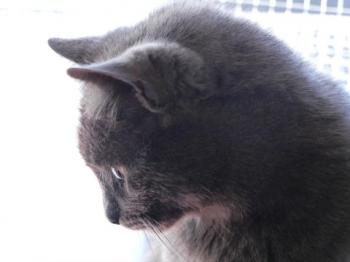Willy Bild von Willy