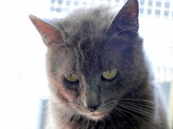 Willy Bild von Willy