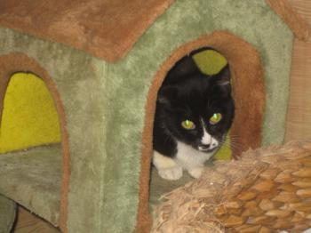 Ohne Namen 5654 Bild von Gipsy
