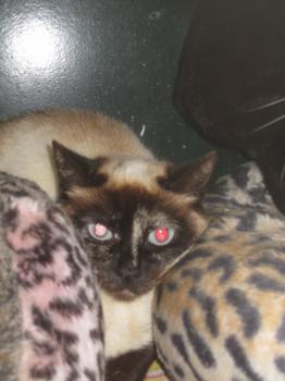 Tina Bild von Tina