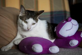 Shopie Bild von Shopie