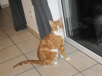 Louisa Bild von Louisa