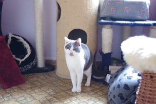 Bild von Jerry