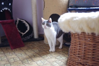 Bild von Jerry