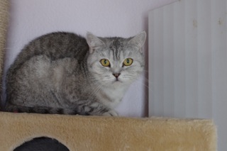 Daniella Bild von Daniella