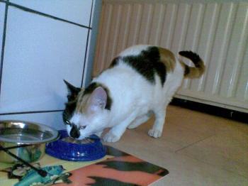 Rosita Bild von Rosita