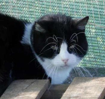 Abu Bild von Abu