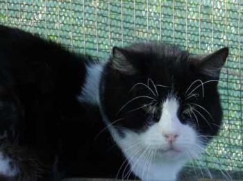 Abu Bild von Abu