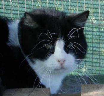 Abu Bild von Abu