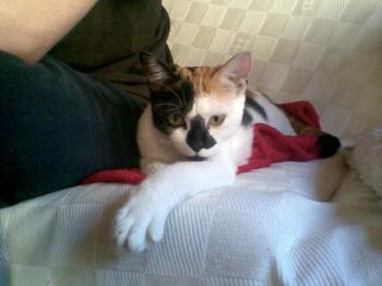 Rosita Bild von Rosita