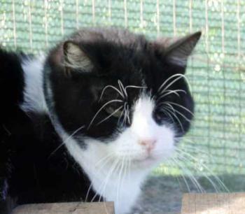 Abu Bild von Abu
