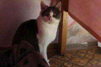Bild von Jerry