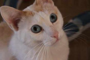 Chiqui Bild von Chiqui
