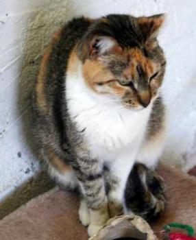 Susan Bild von Susan