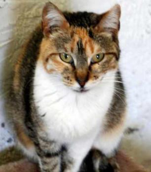 Susan Bild von Susan