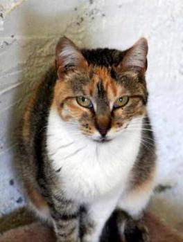 Susan Bild von Susan