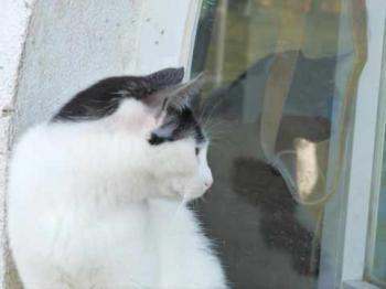 Joy Bild von Joy