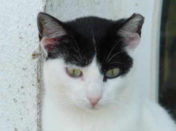 Joy Bild von Joy