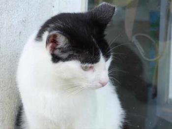 Joy Bild von Joy