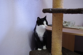 Antonia Bild von Antonia