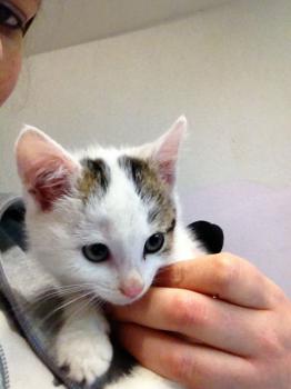 Frieda Bild von Frieda