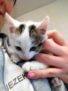 Frieda Bild von Frieda