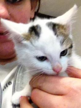 Frieda Bild von Frieda