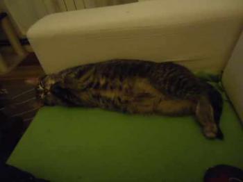 Bild von Samantha