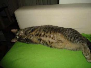 Bild von Samantha