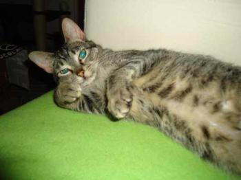 Bild von Samantha