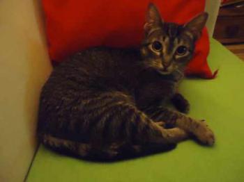 Bild von Samantha