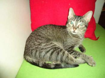 Bild von Samantha