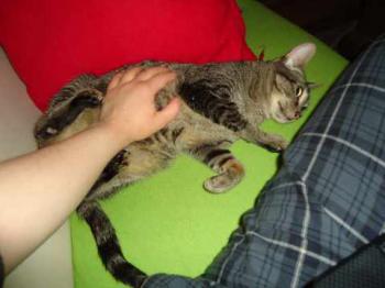 Bild von Samantha