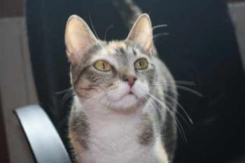 Anabel Bild von Anabel
