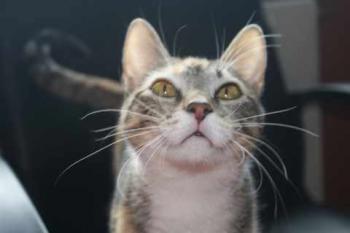 Anabel Bild von Anabel