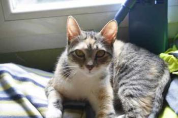 Anabel Bild von Anabel